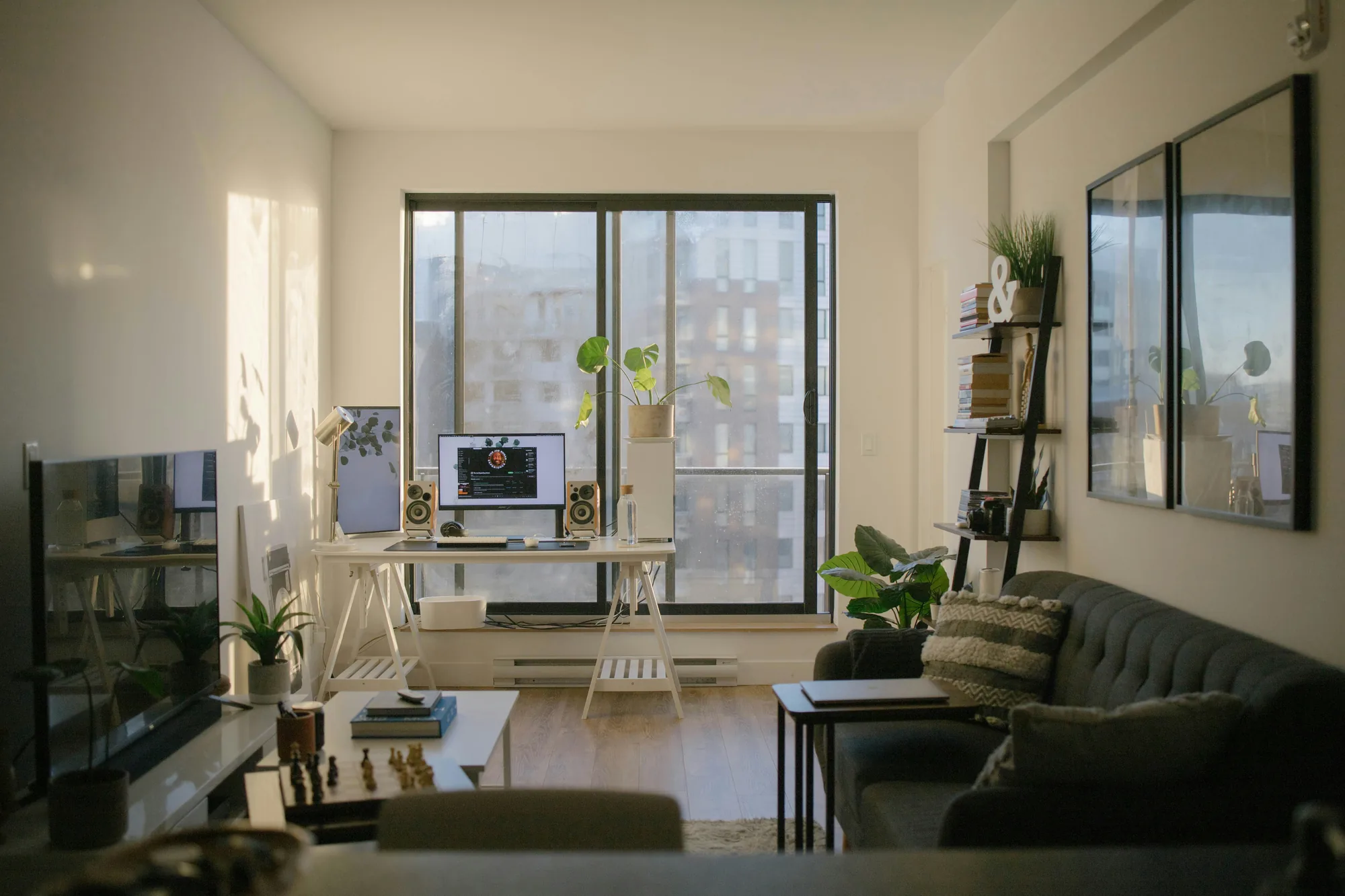 Sunlit living space with a tidy desk, plants, and a couch